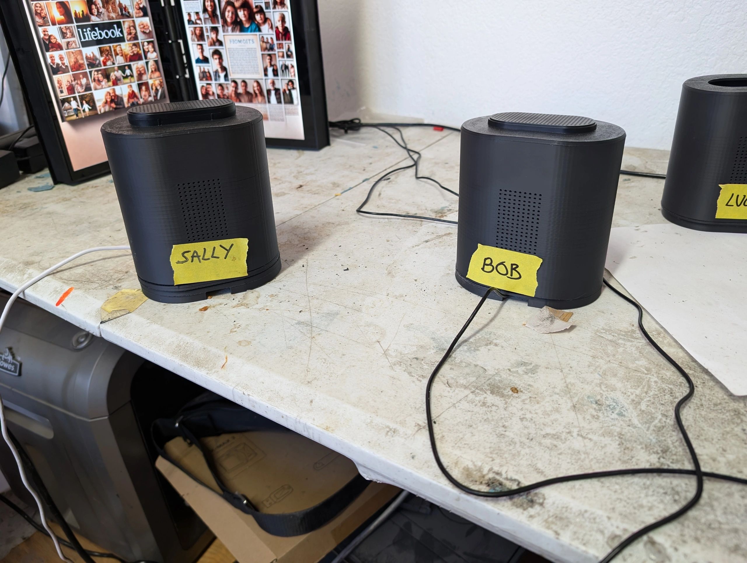 The Real Sally Boxes: More Than Just a Pretty Face